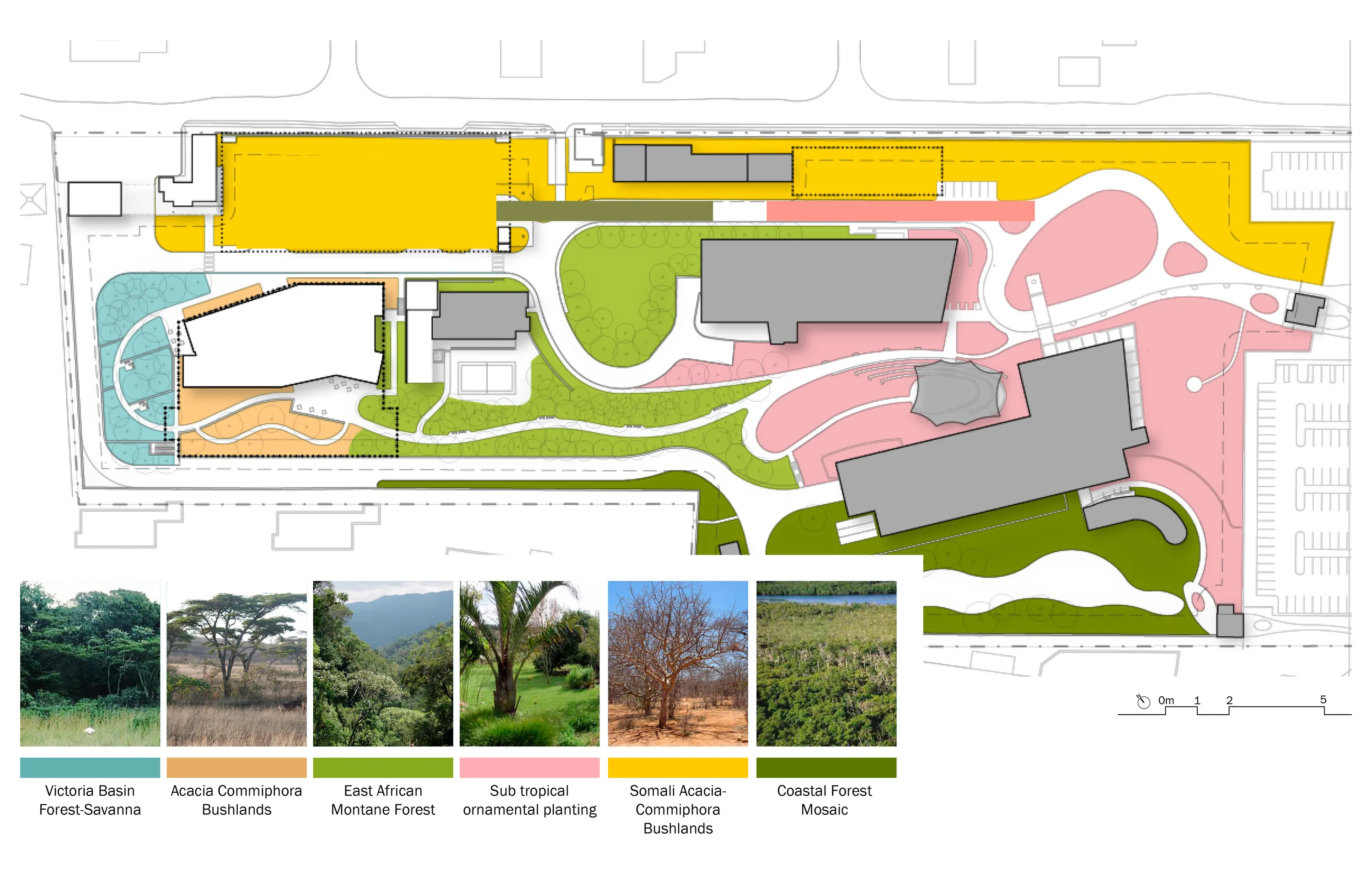 03 Site Plan